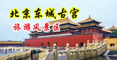 黄色电影免费自由凸轮老太太中国北京-东城古宫旅游风景区
